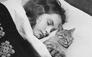 50 Fascinating Historical Photos That Might Change Your Perspective On Cats, As Shared By This Twitter Page (New Pics)