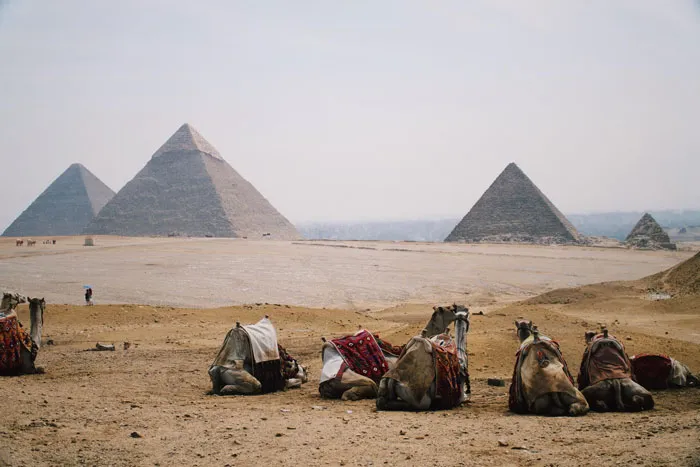 102 Historical Facts That Might Change Your Perspective On Things