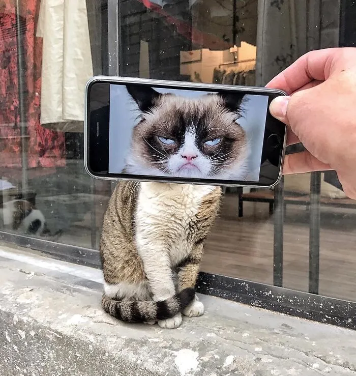 I Combine Ordinary Objects With Pics On My Phone To Make Them Look Extraordinary (16 New Pics)