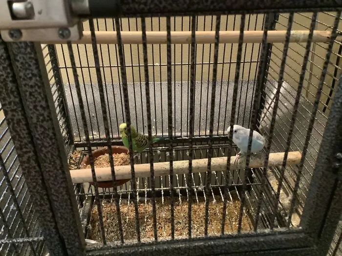 Pearl And Emerald. A Couple Years Age Difference, But Still Bffs!