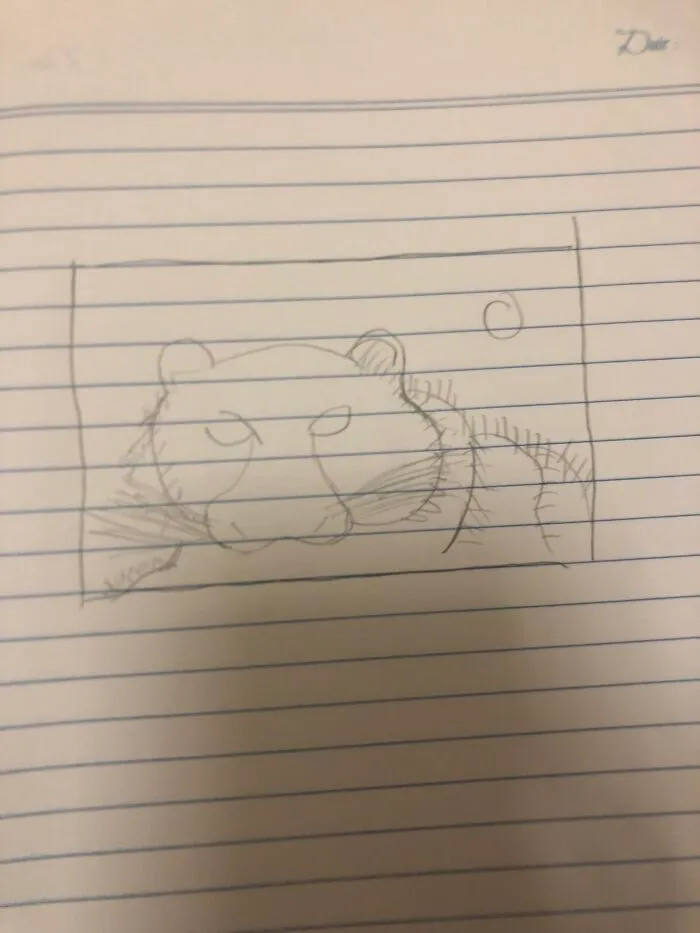 Tada! My Best Attempt At Drawing The Tiger