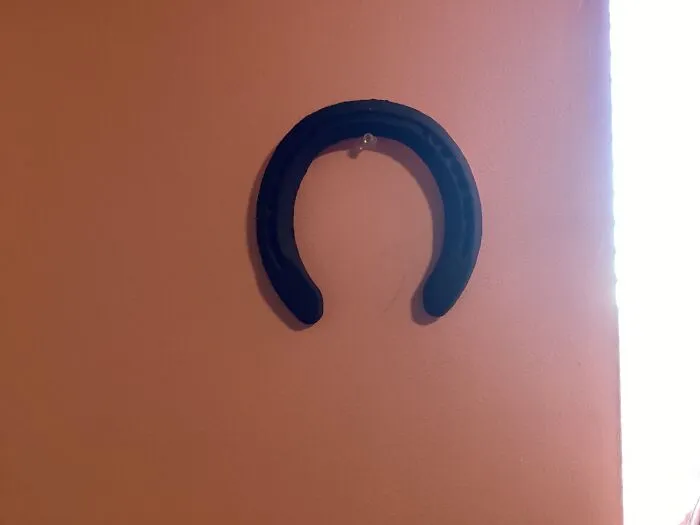 This Horseshoe, My Friend Left It At My House After A Ride (Her Horse Pulled A Shoe Off). I Painted It Cause It’s Been 5 Years Since The Incident And She Doesn’t Remember The Incident Lol