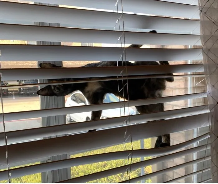 Nothing To See Here. - Blanche
