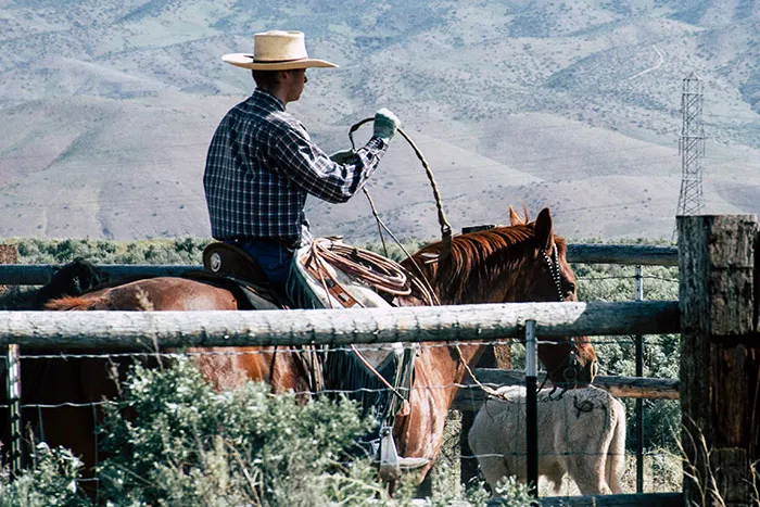 30 False History Facts That Were Really Taught In Schools, But Did Not Stand The Test Of Time