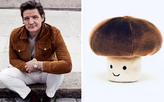 'X' User Makes A Thread That Shows Pedro Pascal With Matching Quokkas And Mushrooms, And It's Hilariously Accurate (22 Pics)