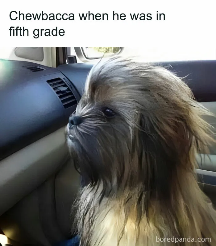 45 Funny And Polite Memes That Don't Laugh At Anyone's Expense, As Shared By This Facebook Page
