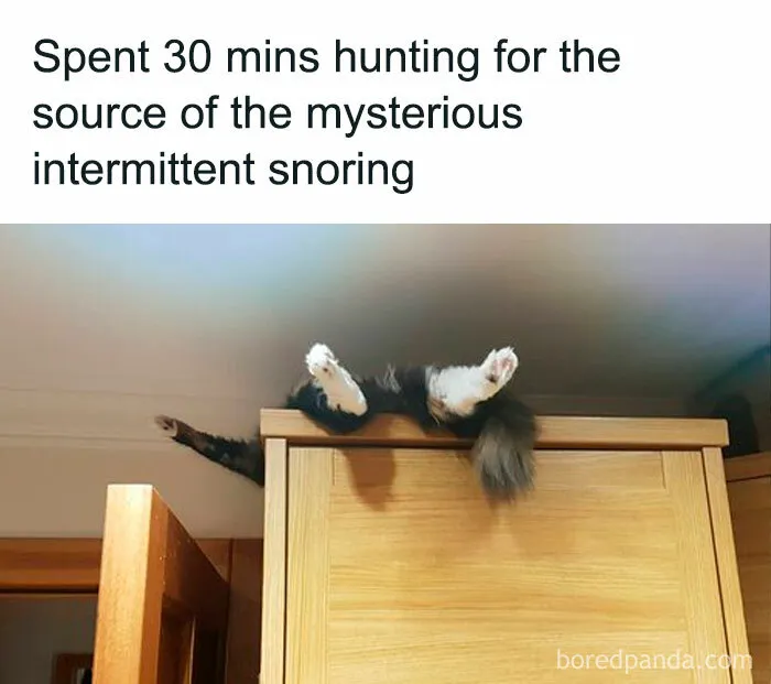 45 Funny And Polite Memes That Don't Laugh At Anyone's Expense, As Shared By This Facebook Page