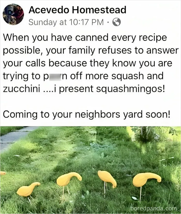 Kind-Humour-Memes
