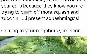 45 Funny And Polite Memes That Don't Laugh At Anyone's Expense, As Shared By This Facebook Page