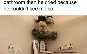 45 Funny And Polite Memes That Don't Laugh At Anyone's Expense, As Shared By This Facebook Page