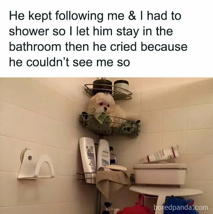 45 Funny And Polite Memes That Don't Laugh At Anyone's Expense, As Shared By This Facebook Page