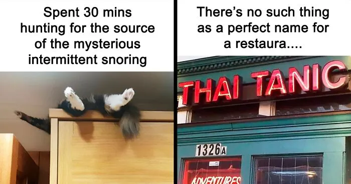 45 Funny And Polite Memes That Don't Laugh At Anyone's Expense, As Shared By This Facebook Page