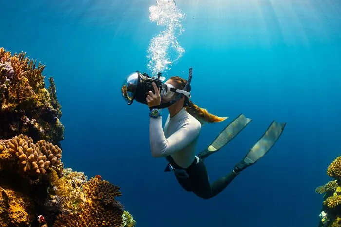 person diving
