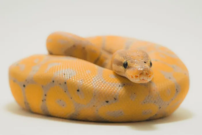 30 Misconceptions About Pretty Safe Things, Despite Most Saying They’re Dangerous