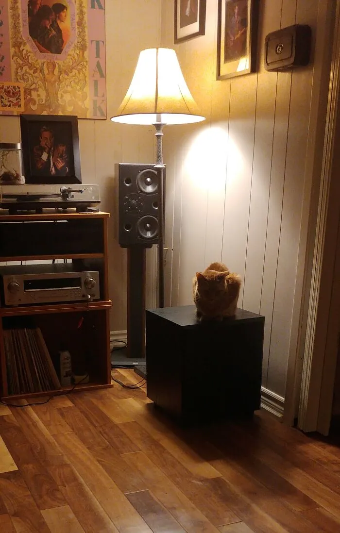 Turn Up The Bass, Please