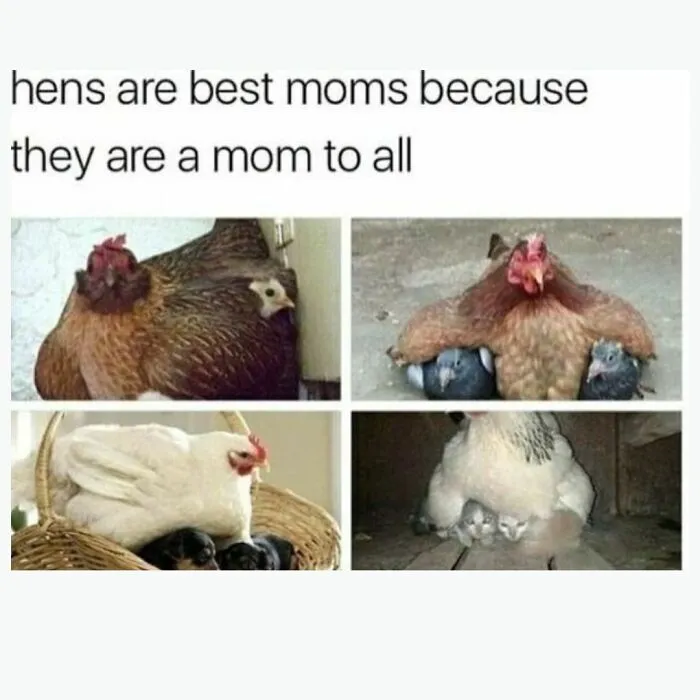 Funny Daily Memes For You (24 Pics)