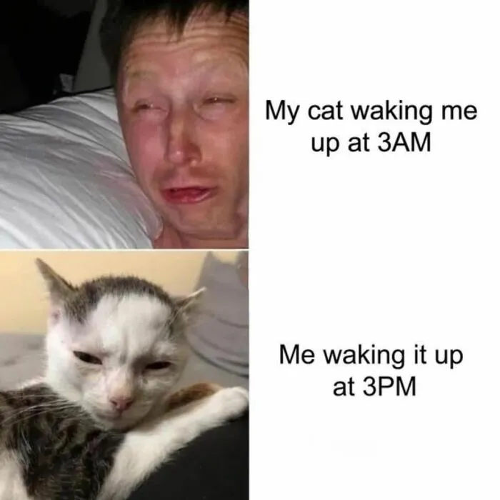 Funny Daily Memes For You (24 Pics)