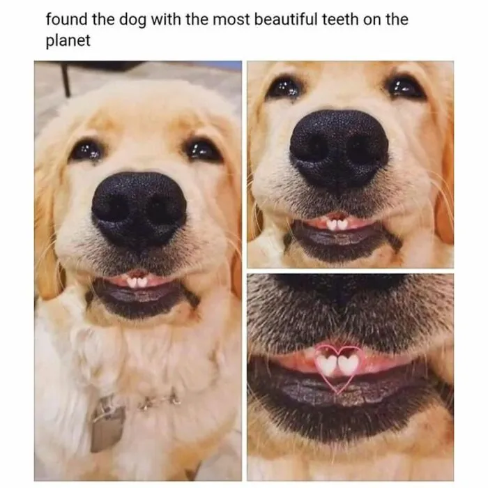 Funny Daily Memes For You (24 Pics)