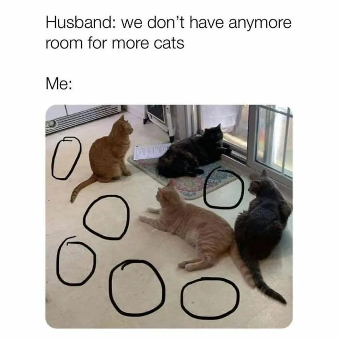 Funny Daily Memes For You (24 Pics)