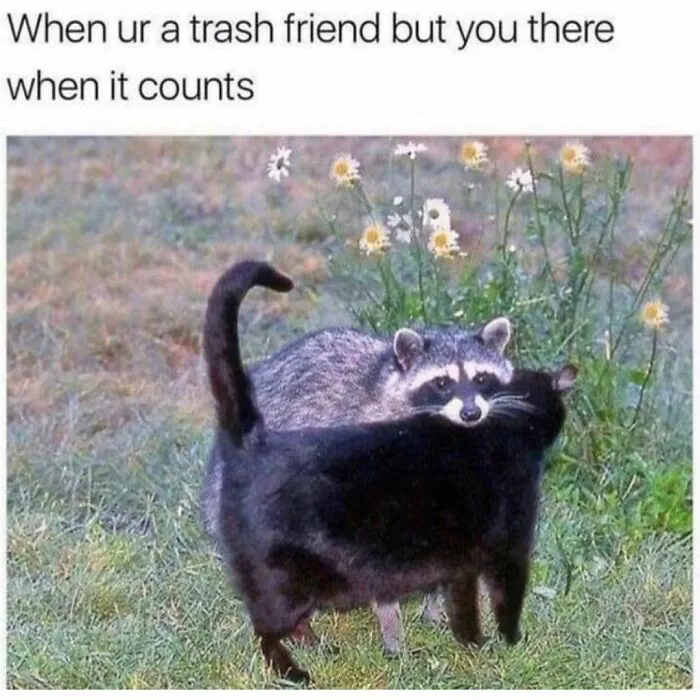 Funny Daily Memes For You (24 Pics)