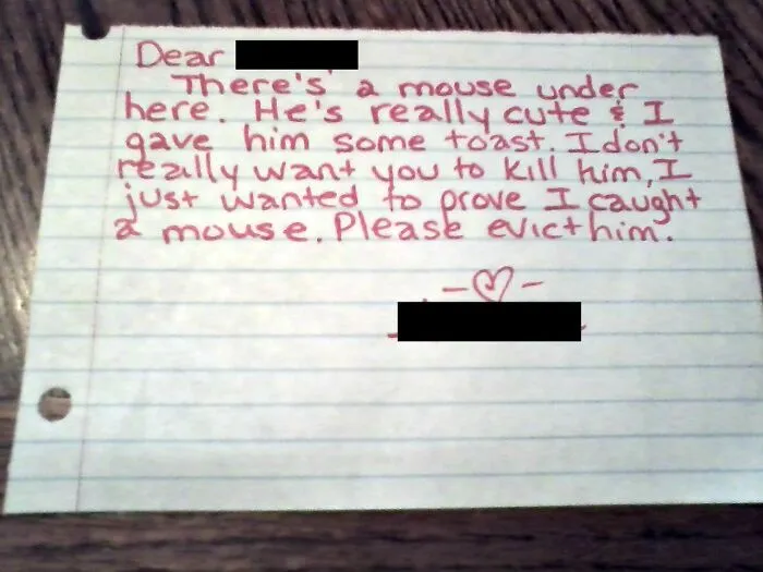 A Note From My Wife