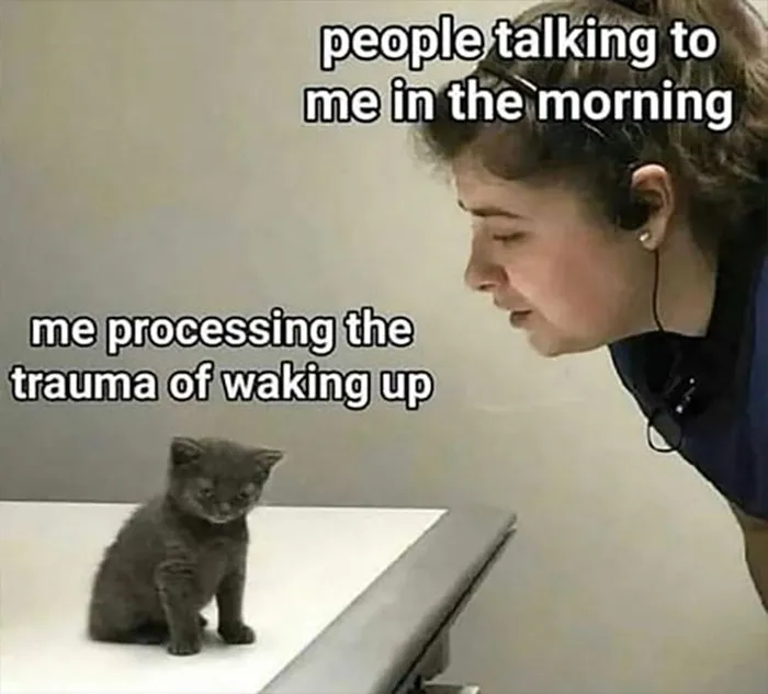 Funny Morning Trauma Meme to Start Your Day