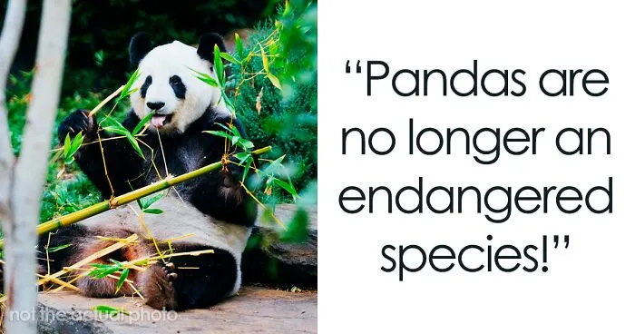 30 Good Things Happening In The World Right Now That Many People Don't Think Of