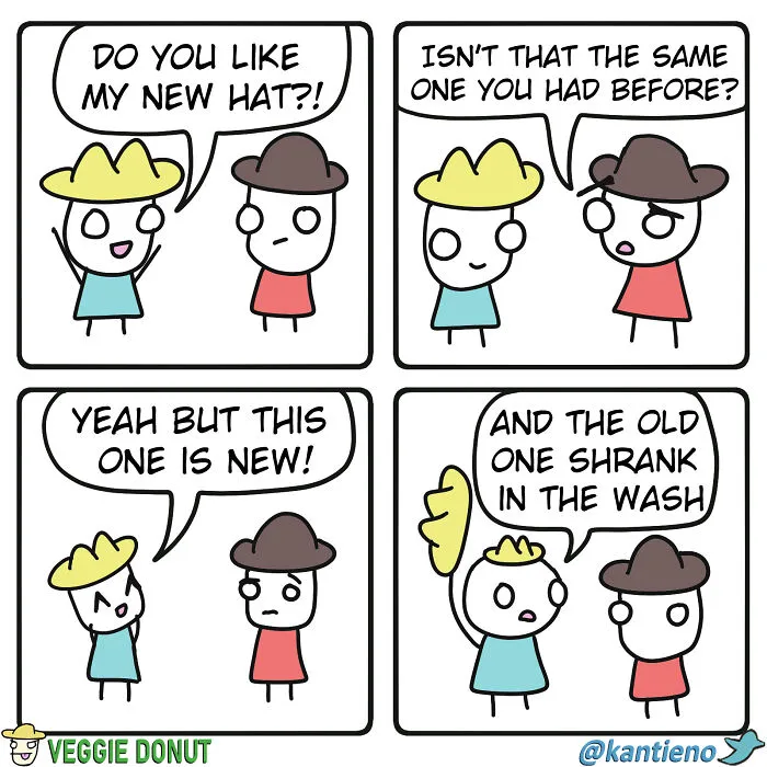 Comics About A Pair Of Friends And A New Hat veggiedonut
