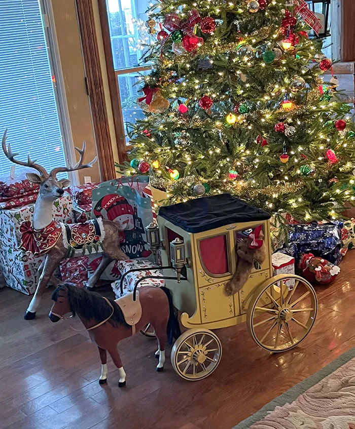 Growing Up My Parents Refused To Ever Get Me Dolls Or Accessories. Now I’m In My 20s And They Have Decided To Buy Obnoxious Doll Stuff Each Year And Laugh In My Face