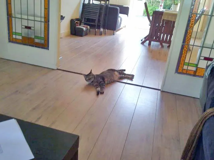 If It's Hot And I Open My Back Door, This Happens. I Don't Even Know This Guy