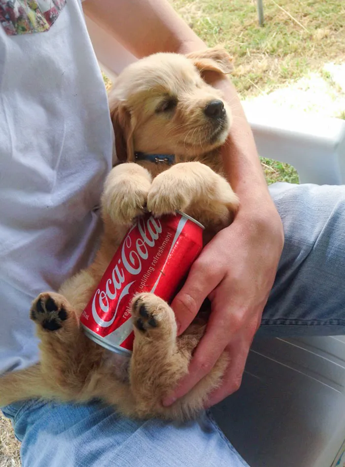 How We Beat The Heat In Australia. Ice Cold Can On A Warm Belly