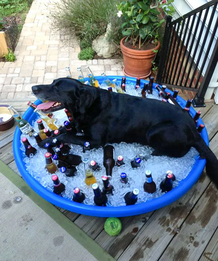 What's Cooler Than Being Cool?