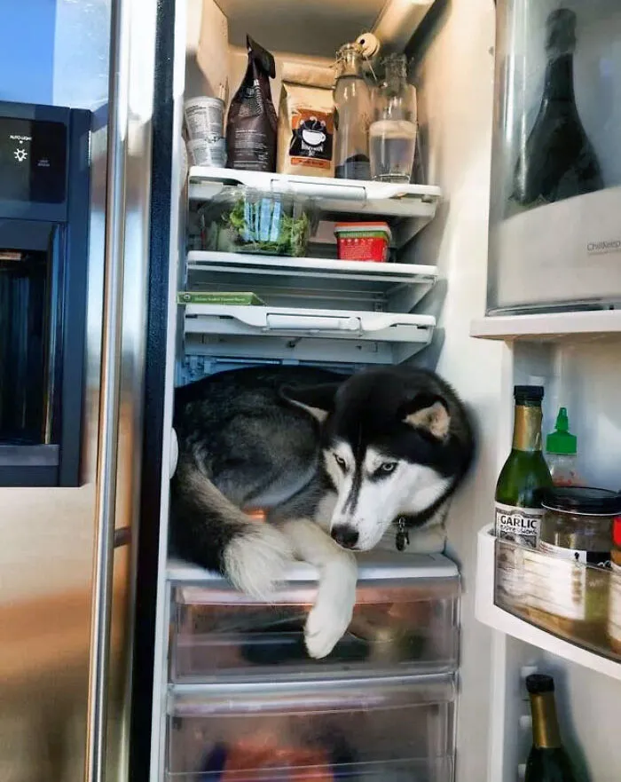 It's Too Hot Outside