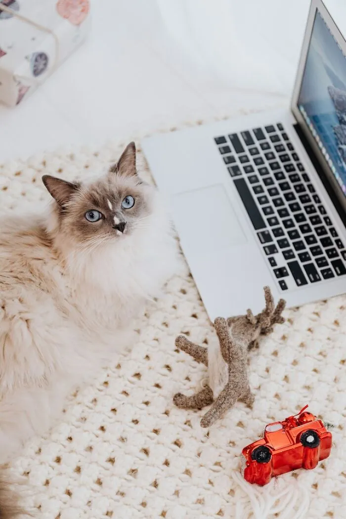 “She Got In”: 30 Of The Worst College Admission Essays Shared In This Thread