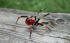 I Made Glass Spider Figurines As An Idea For Halloween Decorations (10 Pics)