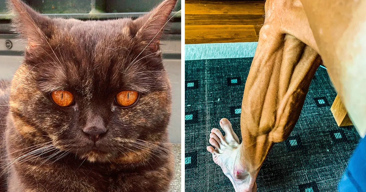 37 Nuevas y fascinantes fotos de cosas raramente vistas