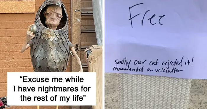 Stoop And Stare: 30 Times People Threw Out Real Treasures In NYC (New Pics)