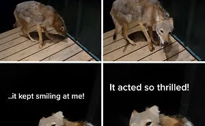 “Hell No”: 50 Times This Online Group Made People’s Palms Sweat With Just Images