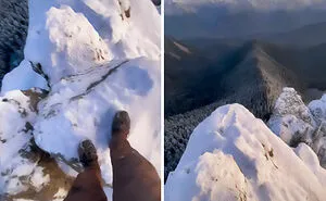 “Hell No”: 50 Times This Online Group Made People’s Palms Sweat With Just Images