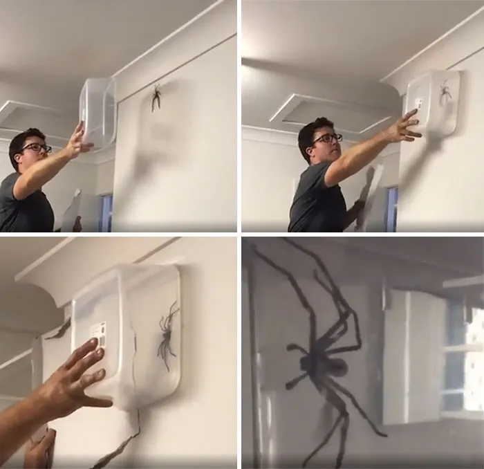 Esto es lo que tenemos en Australia y se mete en las casas