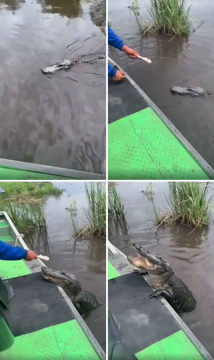Prueba para que te den la ciudadanía en Florida