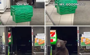 “Hell No”: 50 Times This Online Group Made People’s Palms Sweat With Just Images