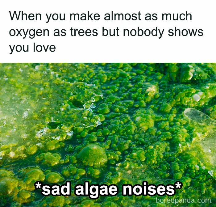 50 Clever Science Memes That Have Been Scientifically Proven To Cause Laughter