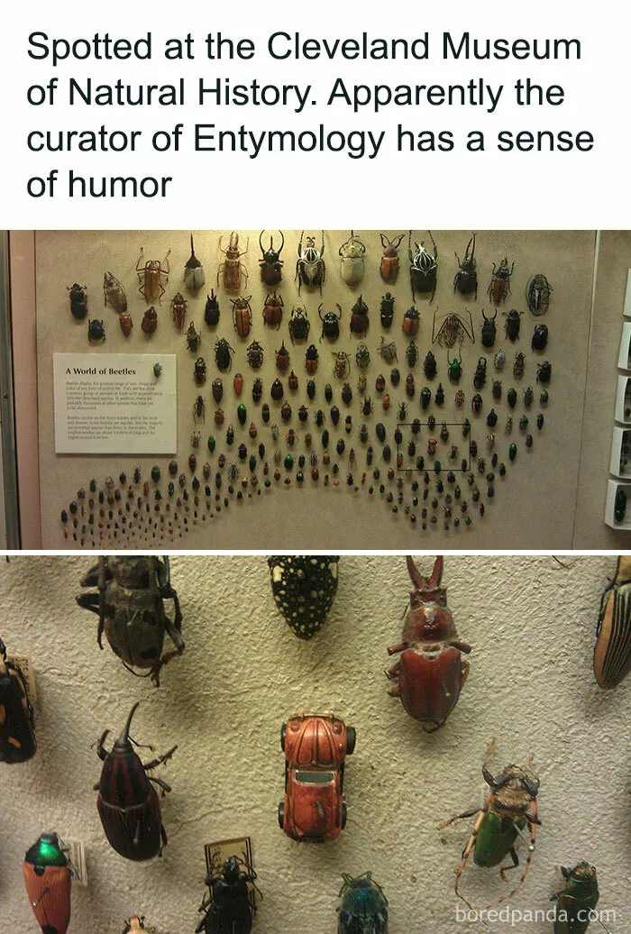 50 Clever Science Memes That Have Been Scientifically Proven To Cause Laughter