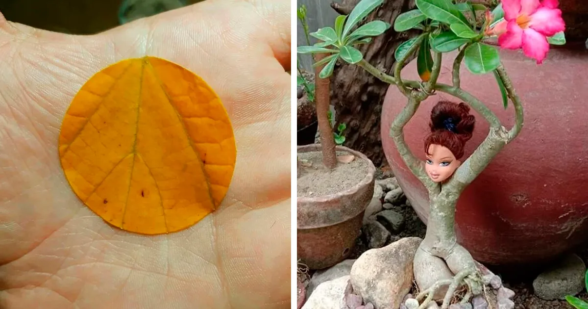 40 Cosas que «encajan perfectamente» en la vida real y quedaron documentadas (nuevas fotos)