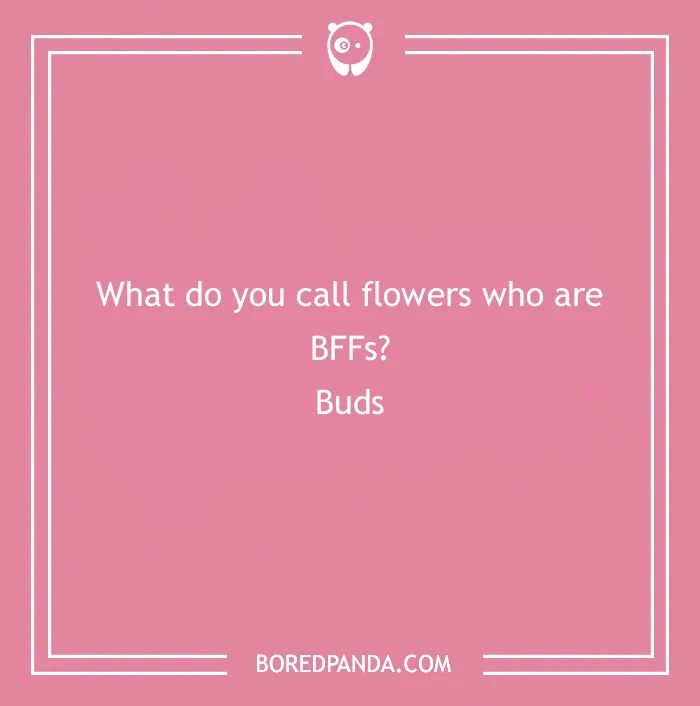 101 Flower Puns To Plant In Your Garden Of Jokes