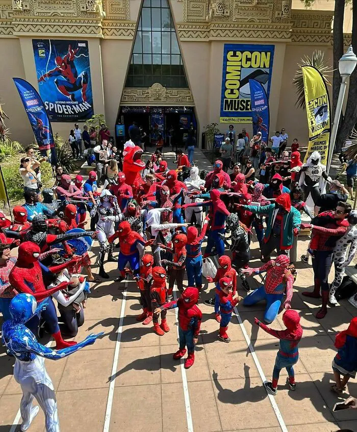 Webbed Wonders Assemble
