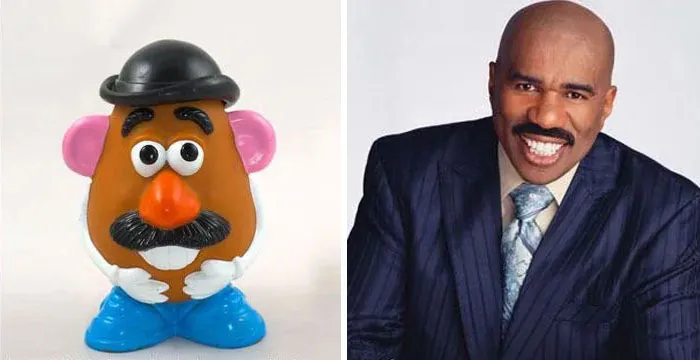 30 Celebridades y sus parecidos razonables más divertidos