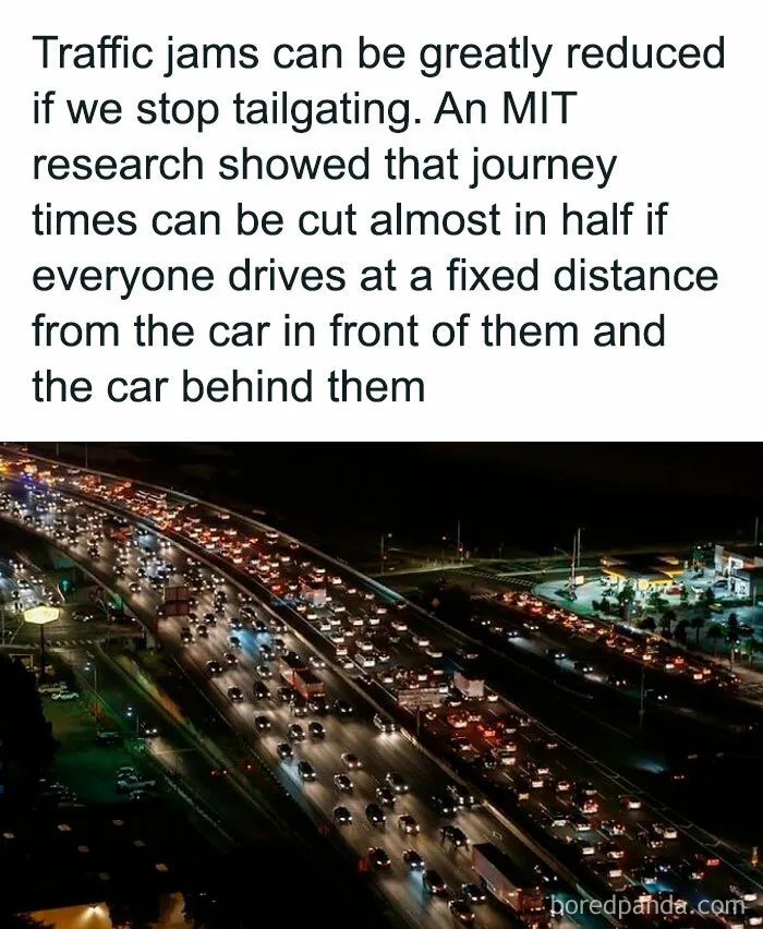 50 ‘Unbelievable Facts’ To Help You Ace Trivia Night (New Pics)