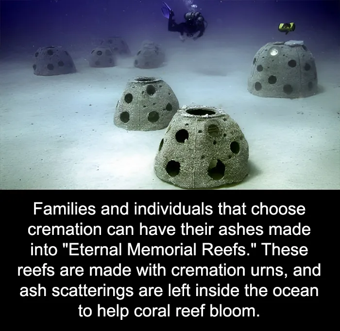 50 Bits Of Information From The ‘Unusual Facts’ FB Page That May Raise Eyebrows
